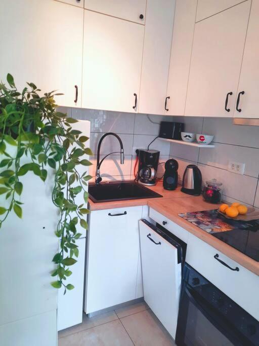 Apartman Nane Solin Esterno foto