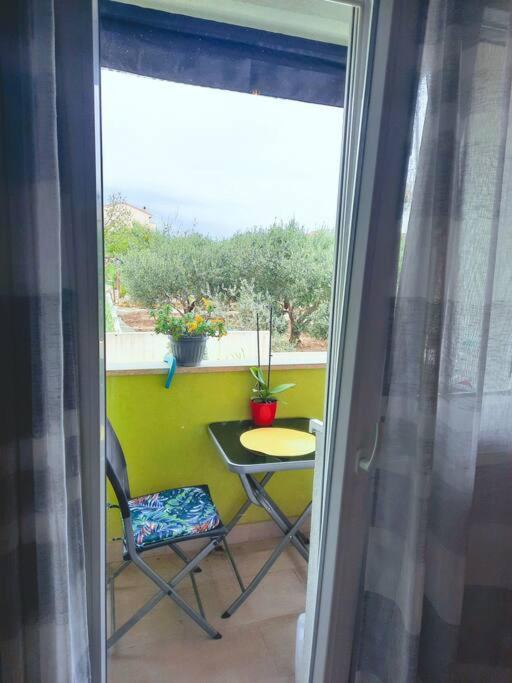 Apartman Nane Solin Esterno foto